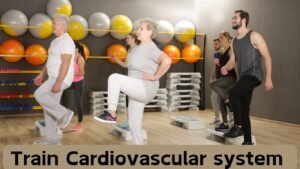 Train Your Cardiovascular System