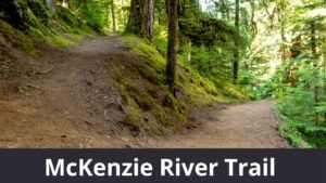 McKenzie River Trail