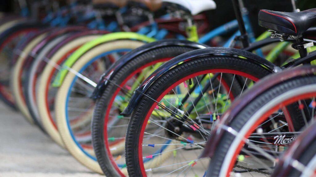 Choosing a Mountain Bike