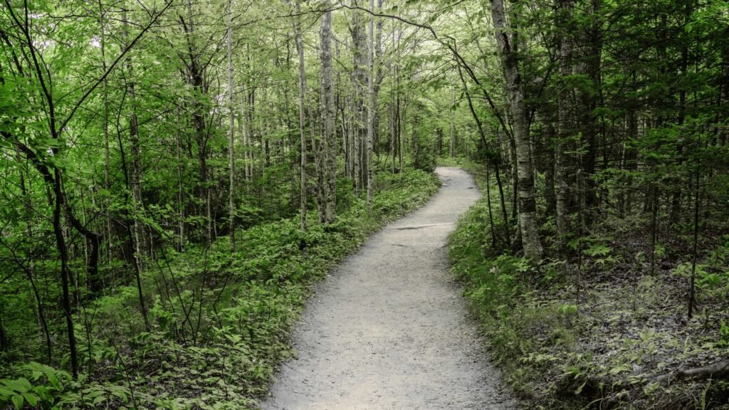 Find Beginner-Friendly Trail