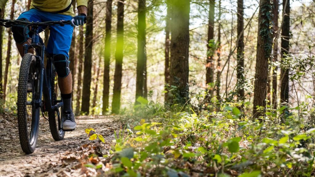 Learn and Respect Mountain Biking Etiquette