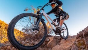 Does Mountain Biking Burn Belly Fat