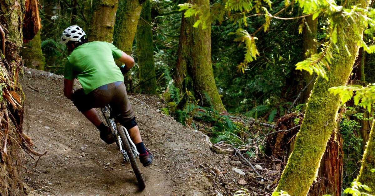 You get Mental Therapy