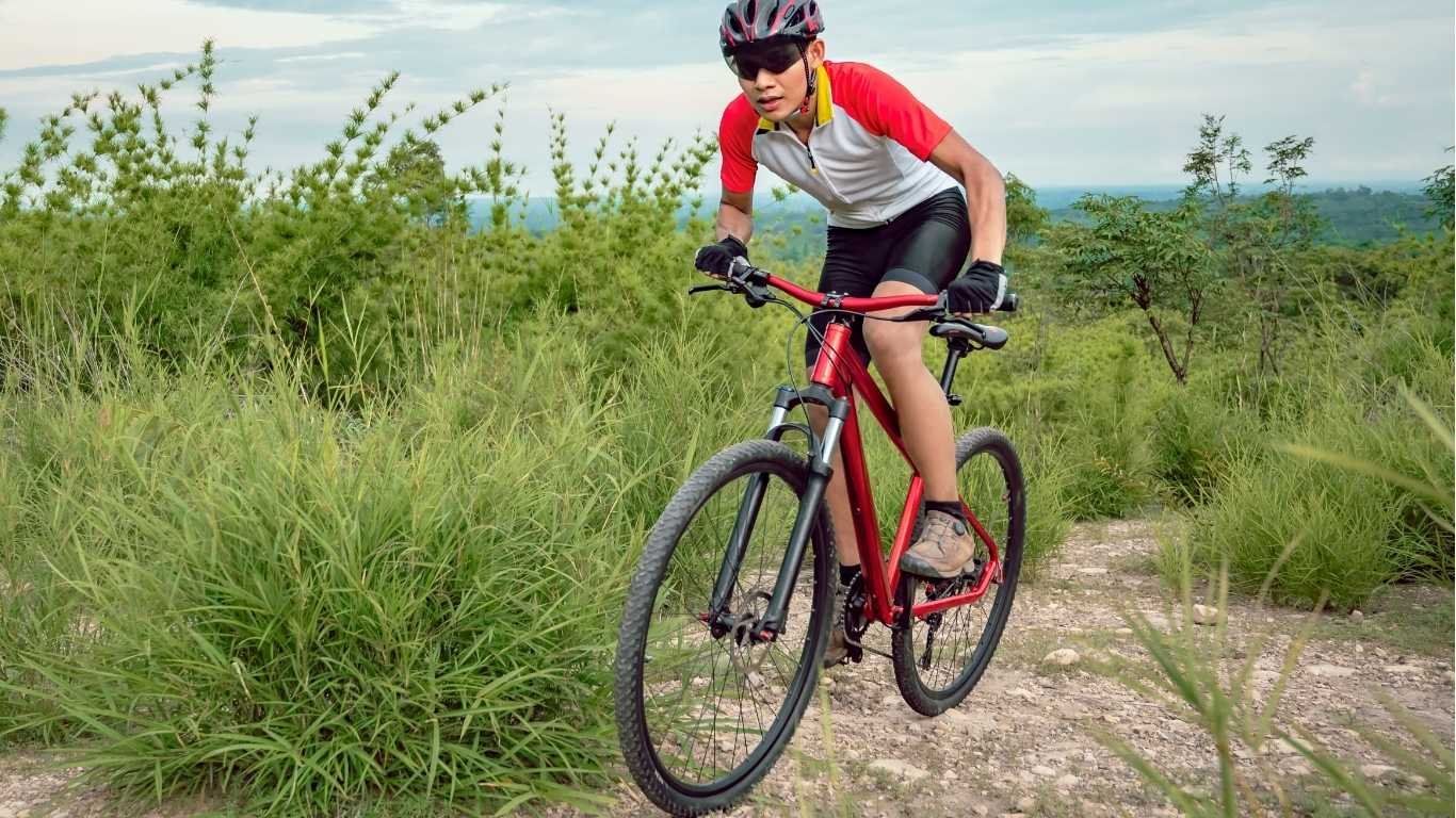 Choose the Right Type of MTB for the City