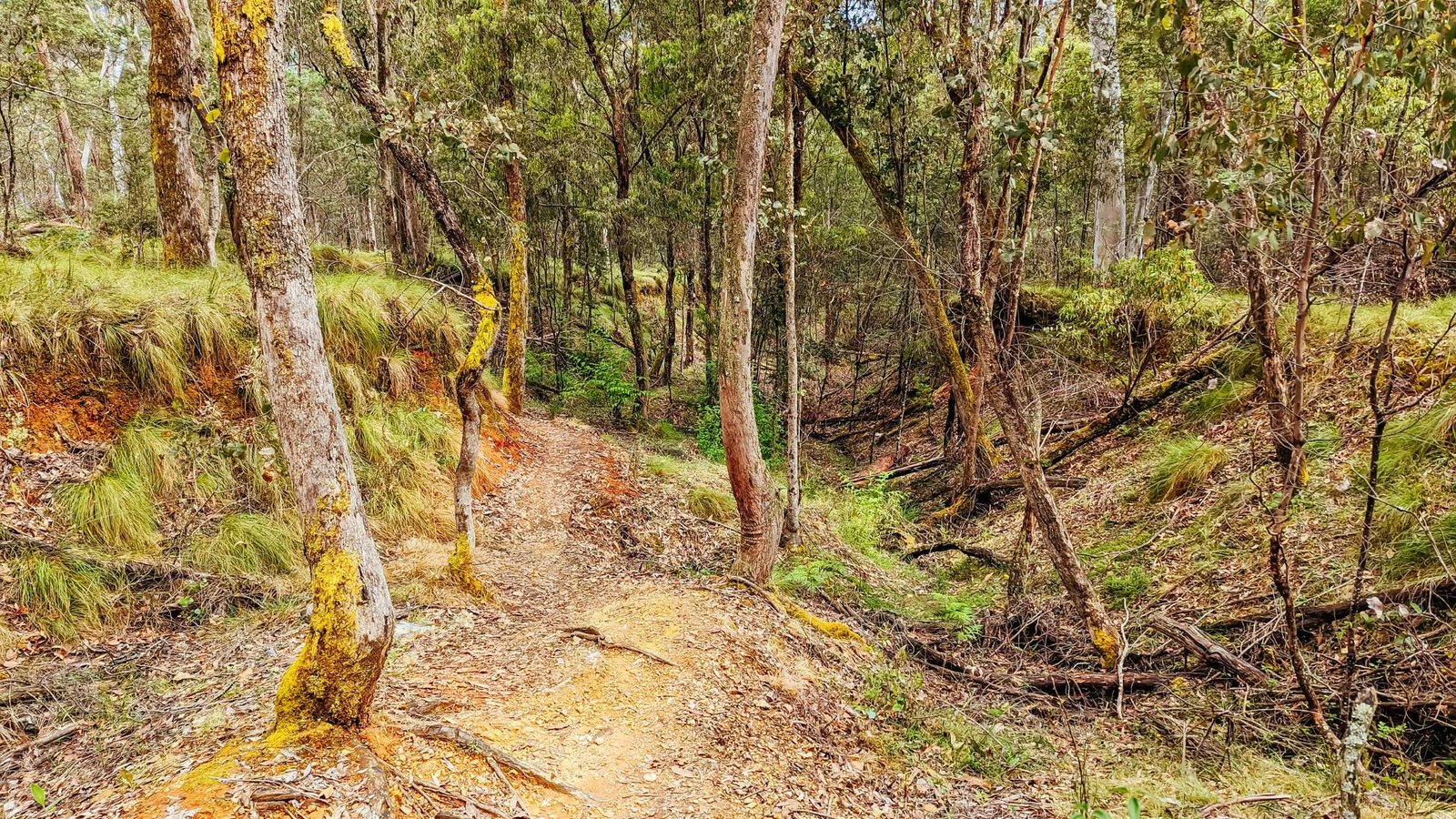 Trails Aren’t Always Easy to Find