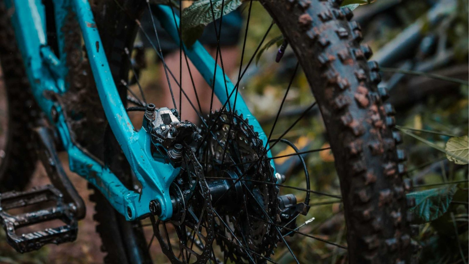 Components drivetrain