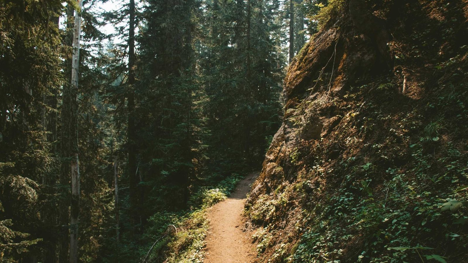 Performance in Real Trail Scenarios