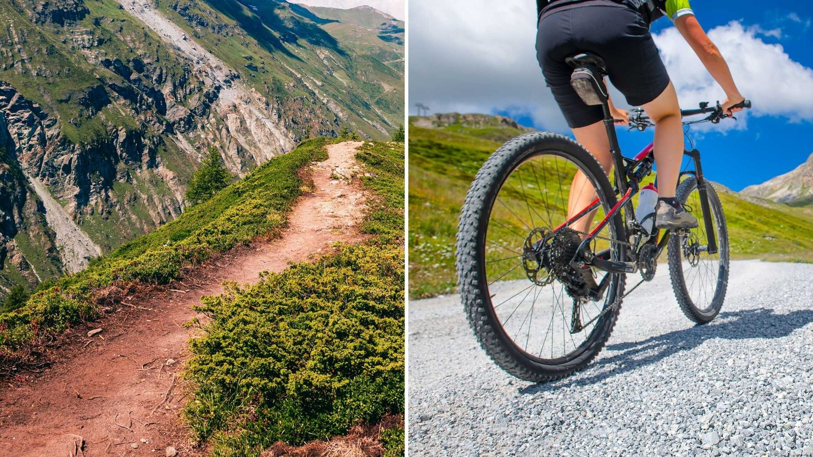MTB Ride Variety