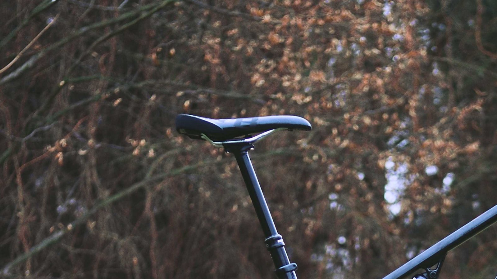 Dropper Post