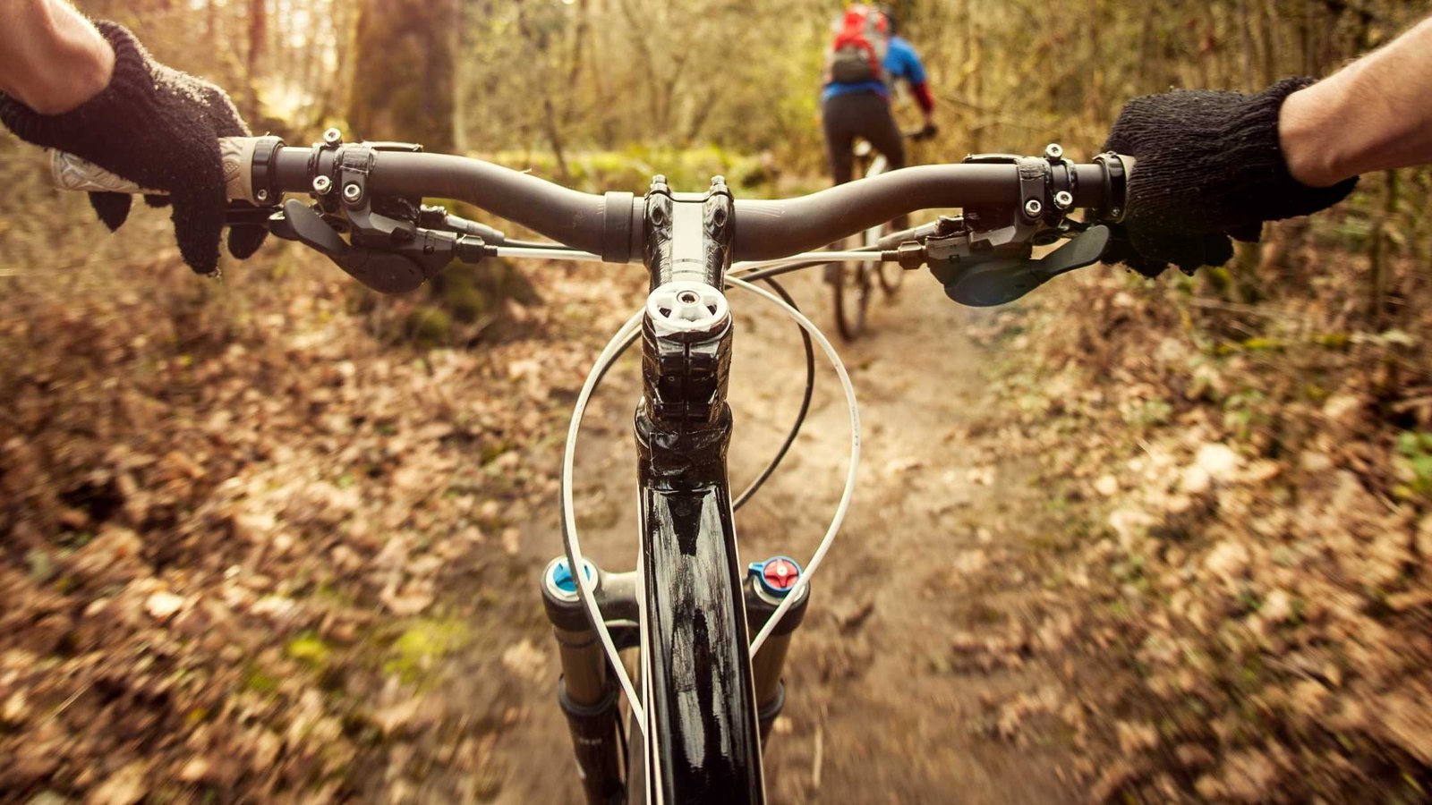 Handlebars
