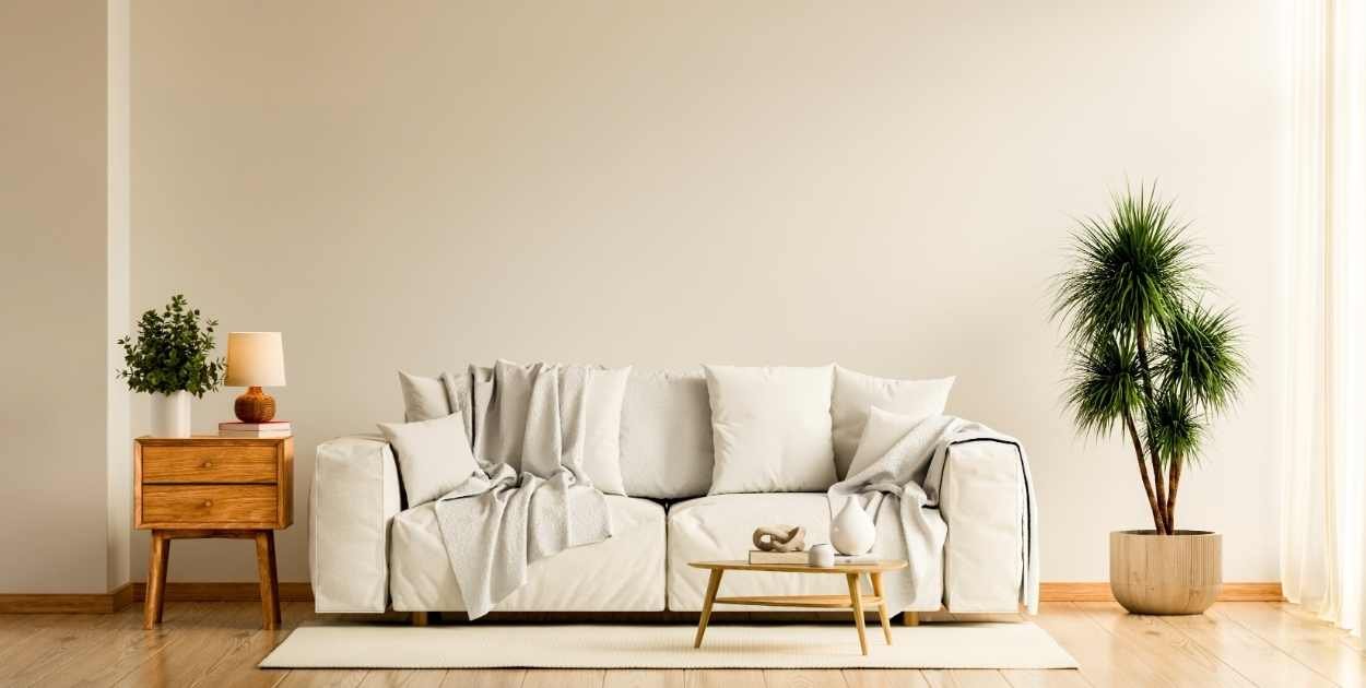cozy finished living room warm lighting plants rug wall art real home natural light