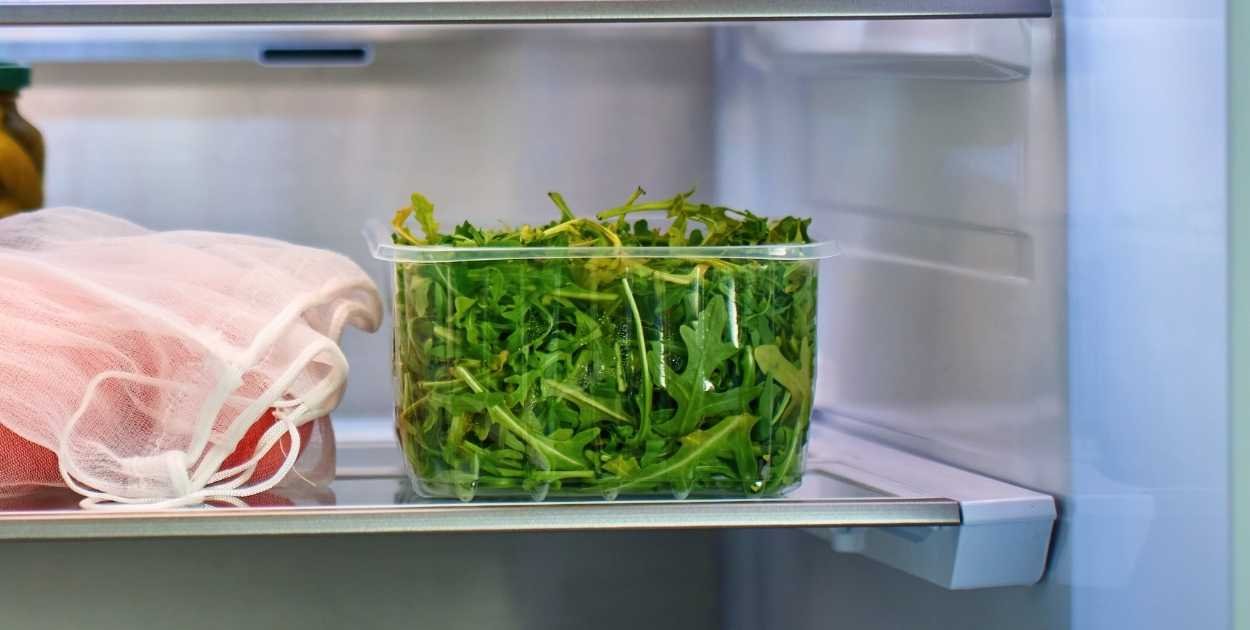 produce saver containers fridge vegetables