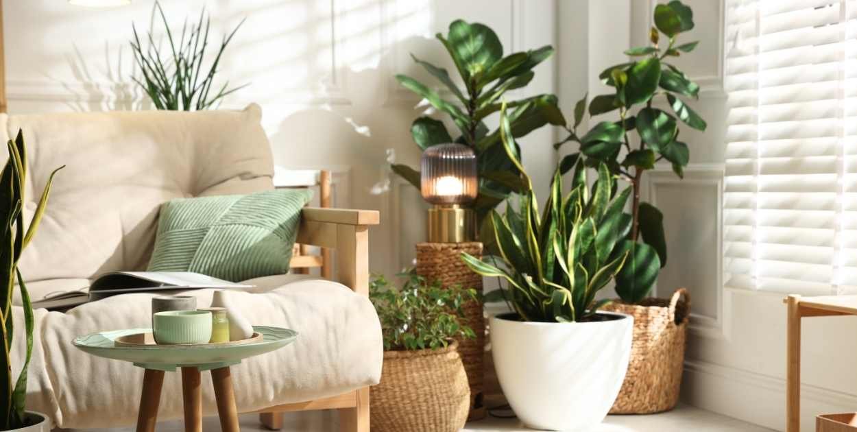 living room with indoor plant